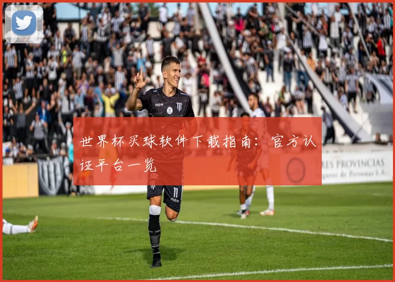 世界杯买球软件下载指南：官方认证平台一览