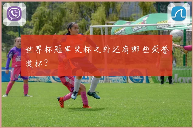 世界杯冠军奖杯之外还有哪些荣誉奖杯?