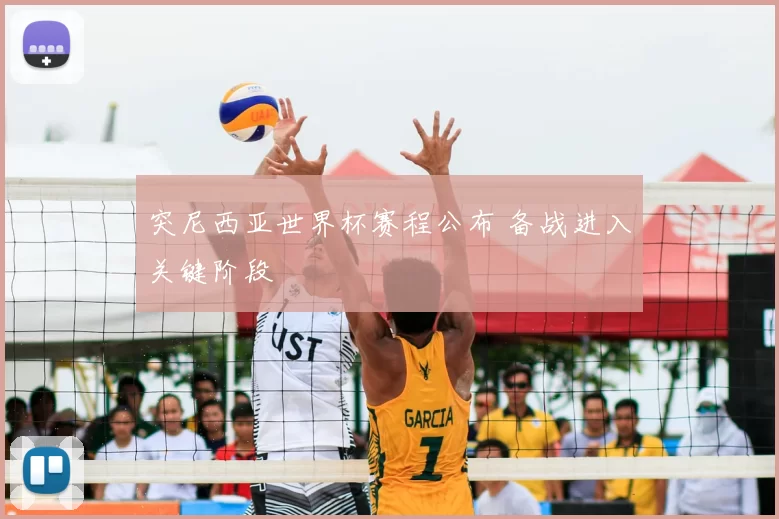 突尼西亚世界杯赛程公布 备战进入关键阶段
