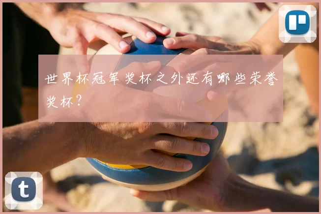 世界杯冠军奖杯之外还有哪些荣誉奖杯？