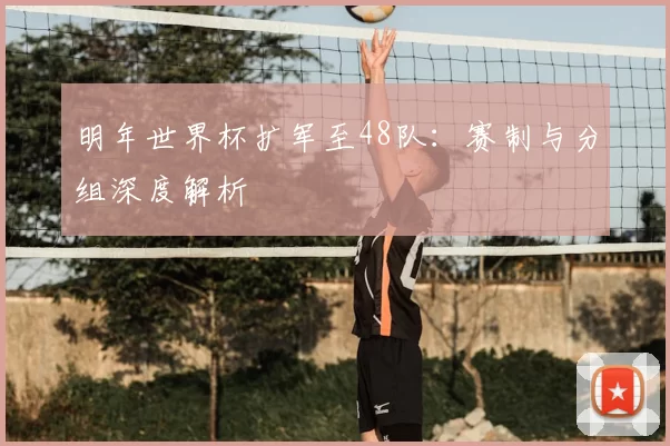 明年世界杯扩军至48队：赛制与分组深度解析