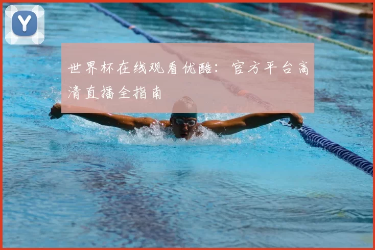 世界杯在线观看优酷:官方平台高清直播全指南