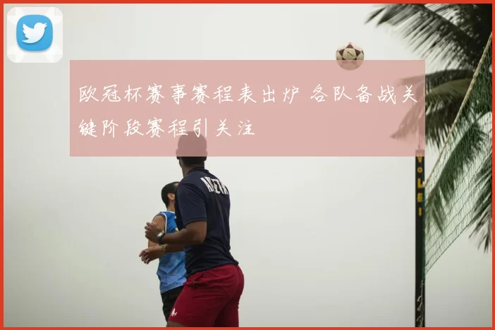 欧冠杯赛事赛程表出炉 各队备战关键阶段赛程引关注