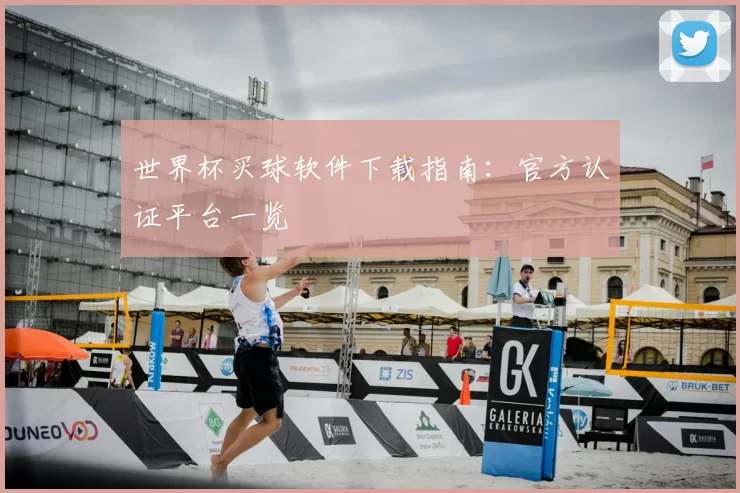 世界杯买球软件下载指南:官方认证平台一览